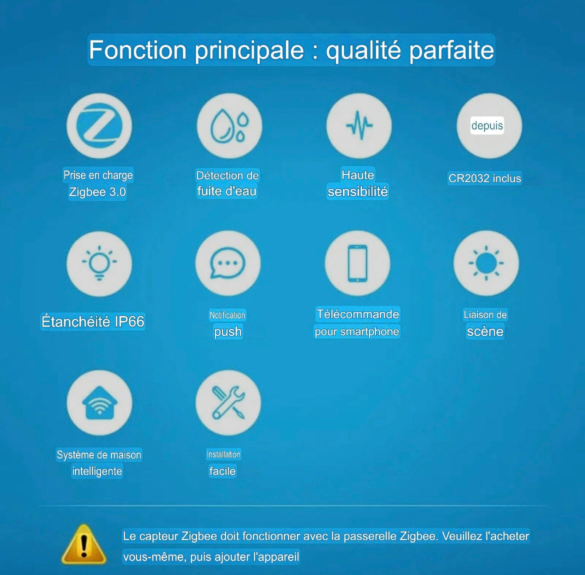 Capteur d’Inondation Intelligent